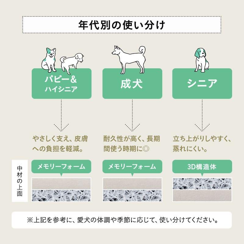 わんちゃんページ wan（わん） 2008年4月号 (発売日2008年03月14日) | 雑誌/電子