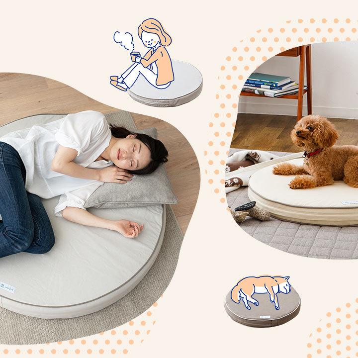 EMOOR（エムール） クッション 座布団 M 円形 直径64cm 高さ8cm 低反発