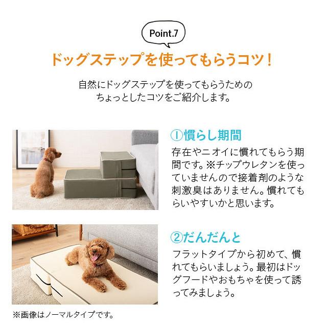 犬用スロープ・ステップ グレーとベージュ2個セット emoor EMOOR ドッグステップ ロータイプ ステップ スロープ 犬 ペット