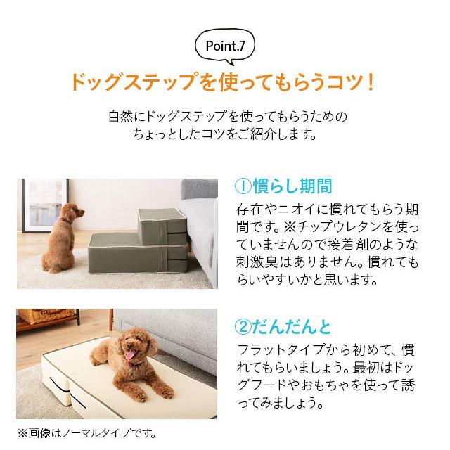 ドッグステップ ロータイプ ステップ スロープ 犬 ペット用 階段 ペットステップ 送料無料 洗濯可 ウレタン 綿100% 踏み台 犬用品 ケガ防止 ペット用品 エムール｜at-emoor｜16