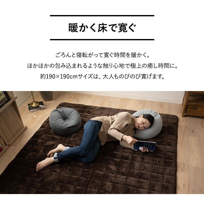 EMOOR ラグ カーペット 190×190cm 正方形 洗える 吸湿発熱 極暖 EMOOR ラグ カーペット 190×190cm 正方形 洗える 吸湿発熱 極暖