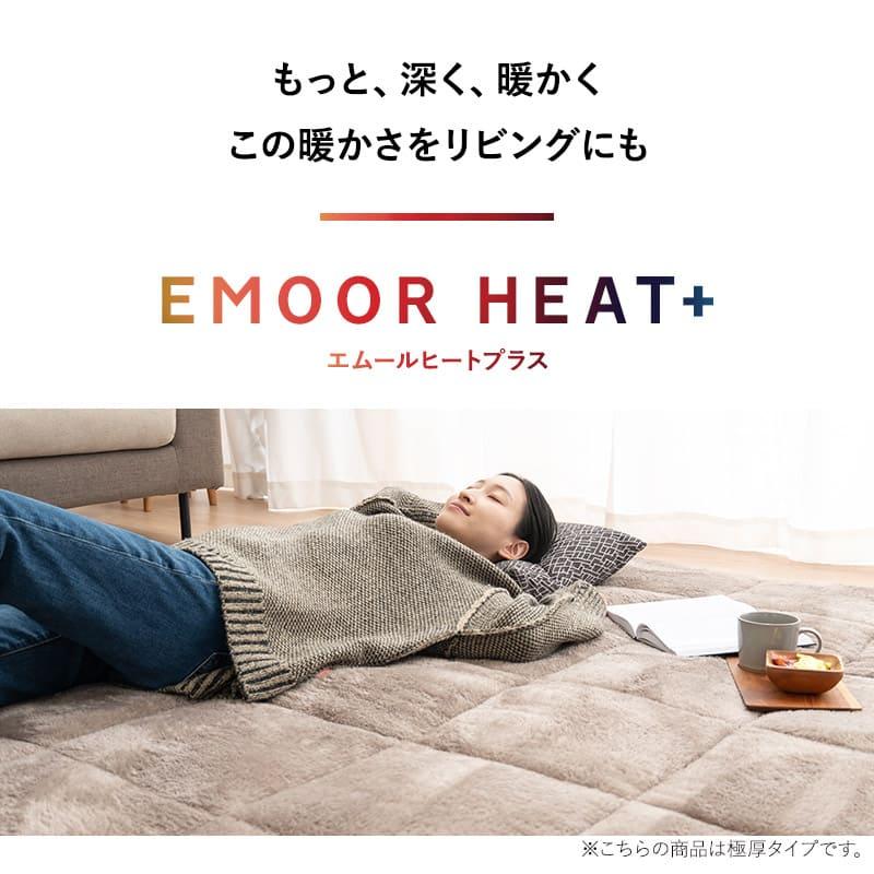 EMOOR（エムール） ラグ カーペット 190×240cm 長方形 洗える 吸湿発熱