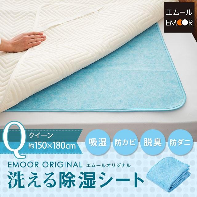 慎重に 昼間 国民投票 布団 カビ Ths Troyoh69 Org