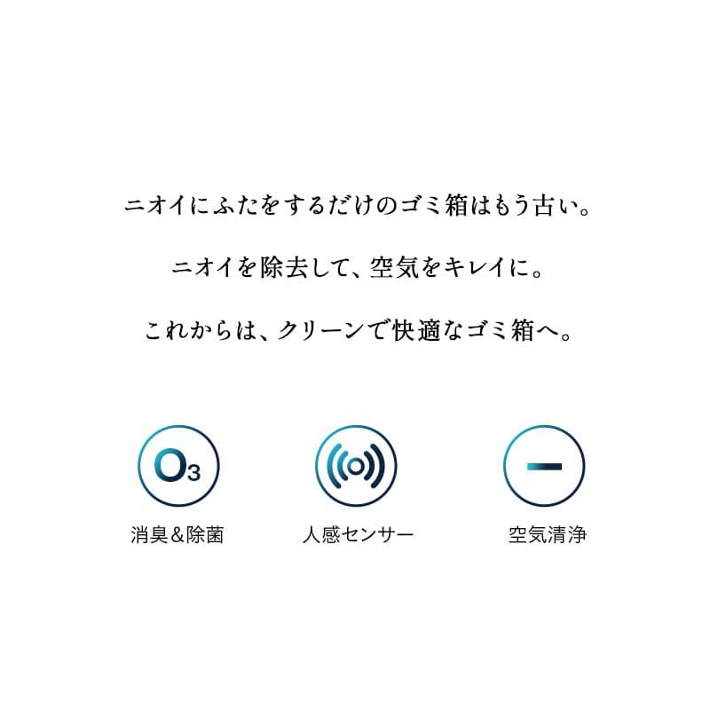 EMOOR ゴミ箱 ダストボックス 30L 消臭 除菌 オゾン 脚付き EMOOR ゴミ箱 ダストボックス 30L 消臭 除菌 オゾン 脚付き