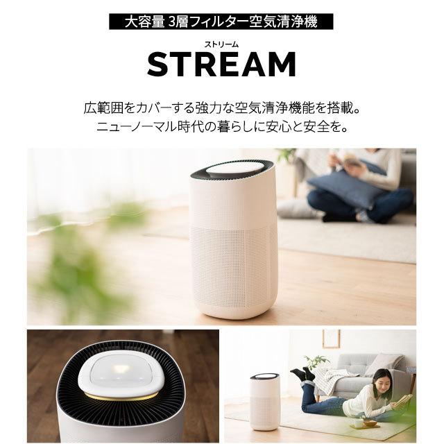 アルシステム空気清浄機　30畳用(壁掛け可能)　バイオミクロン　30畳用 EMOOR（エムール） 空気清浄機 30畳 コンパクト フィルター 活性炭