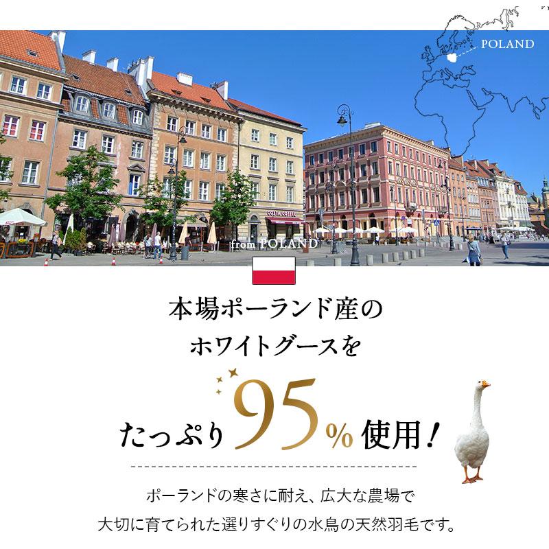 日本製 羽毛布団 クイーン プレミアムゴールドラベル 非圧縮 抗菌 防臭 収納ケース ホワイトグースダウン95％ 羽毛 掛け布団 あったか 秋冬 送料無料 エムール_3