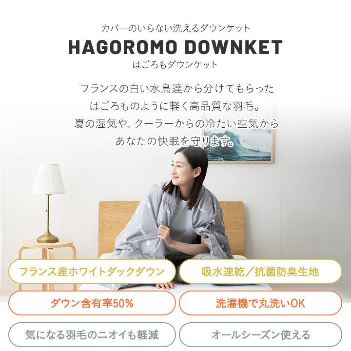 EMOOR（エムール） ダウンケット シングル 2枚 セット 洗える 吸湿 速
