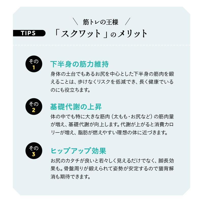EMOOR（エムール） ミズノ mizuno ル・プリエ スクワット ながら運動