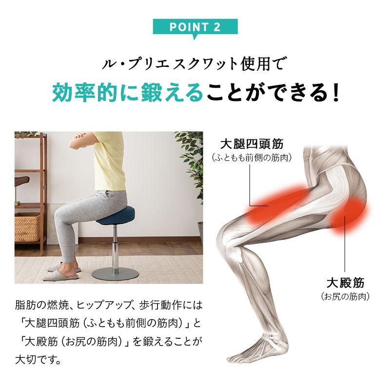 EMOOR ミズノ mizuno ル・プリエ スクワット ながら運動 EMOOR ミズノ mizuno ル・プリエ スクワット ながら運動