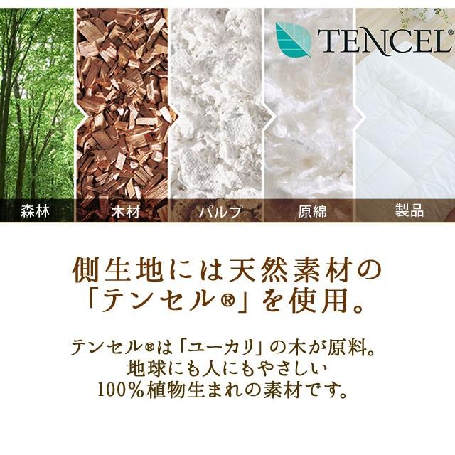 EMOOR リラックスピロー パイプ枕 コットン枕 35×50cm 日本製 EMOOR リラックスピロー パイプ枕 コットン枕 35×50cm 日本製