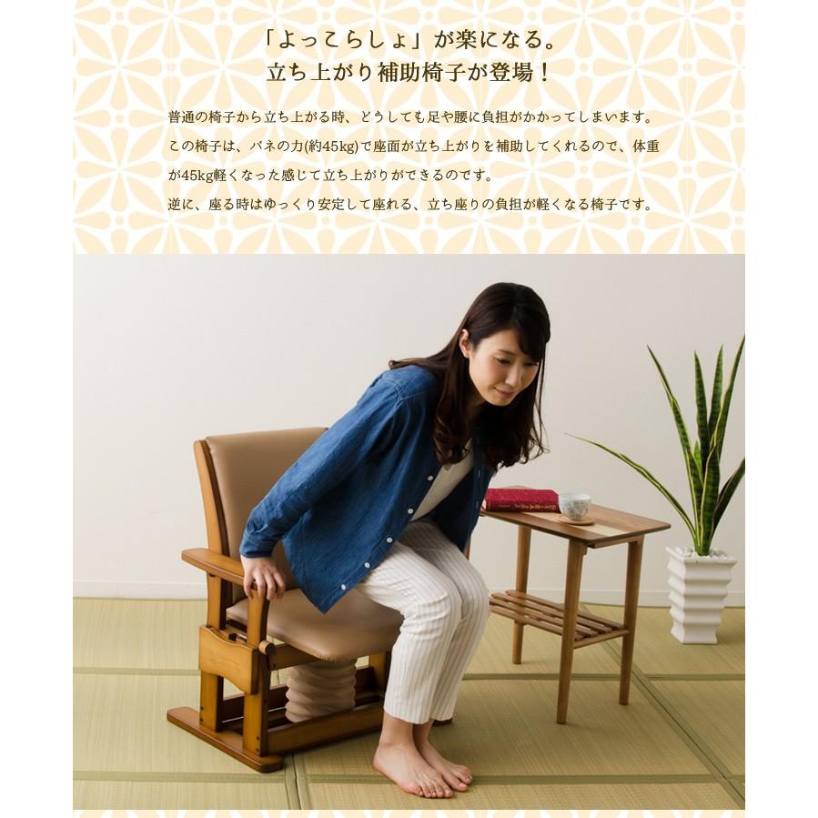 新日本木工 楽座椅子 ロータイプ 美品　座椅子　クッション　床　ロー 新日本木工 楽座椅子 ロータイプ 美品 座椅子 クッション 床 ロー