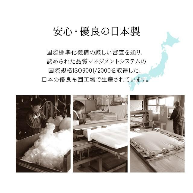 EMOOR（エムール） 洗える 掛け布団 シングル 日本製 ダクロン(R