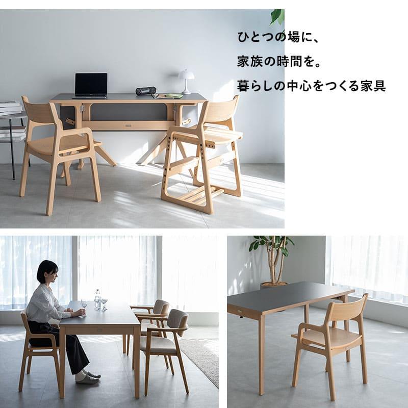 EMOOR（エムール） ダイニングチェア 2脚 セット 肘付き ハイチェア