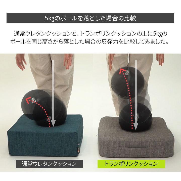 EMOOR（エムール） トランポリン クッション 日本製 静音 滑り止め