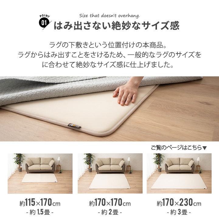 EMOOR（エムール） アンダーラグ ラグ カーペット 下敷き 170×230 3畳