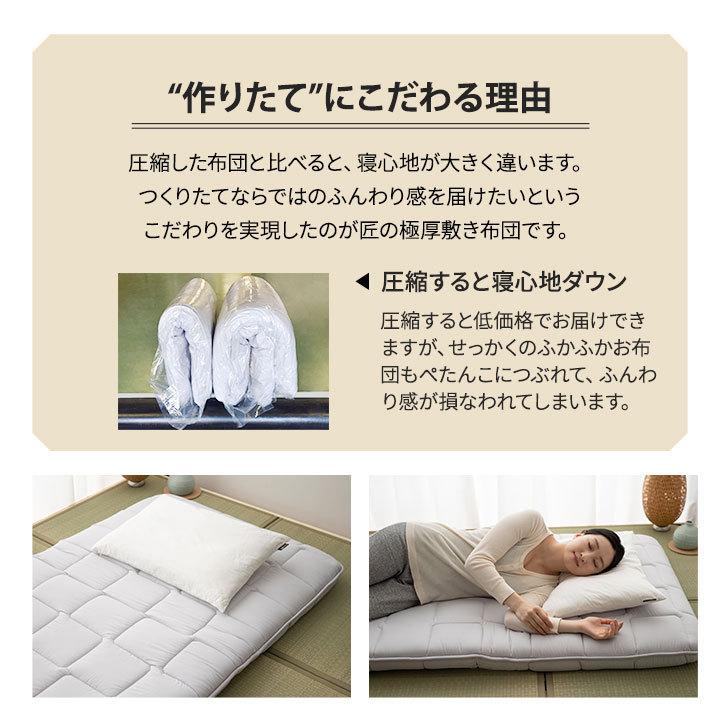 EMOOR 日本製 敷布団 シングル マットレス 抗菌 防臭 防ダニ 極