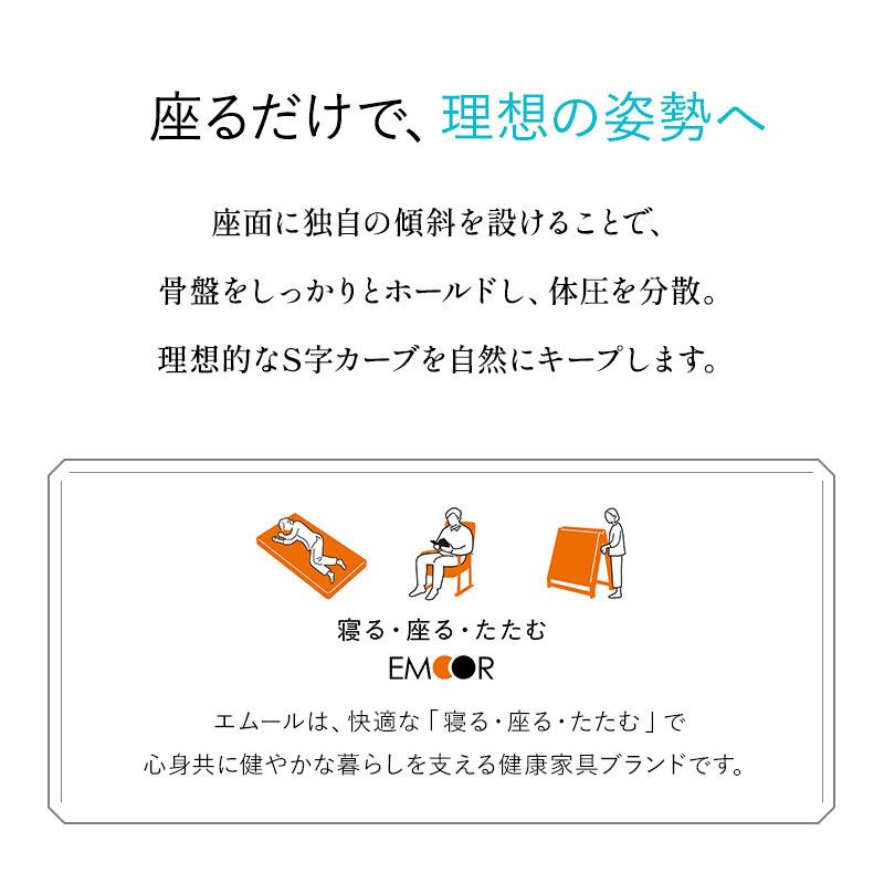 EMOOR（エムール） 姿勢サポートチェア バランスチェア デスクチェア