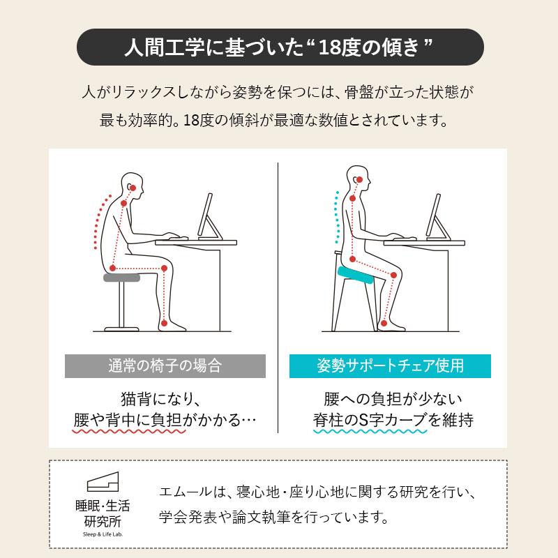 EMOOR（エムール） 姿勢サポートチェア バランスチェア デスクチェア