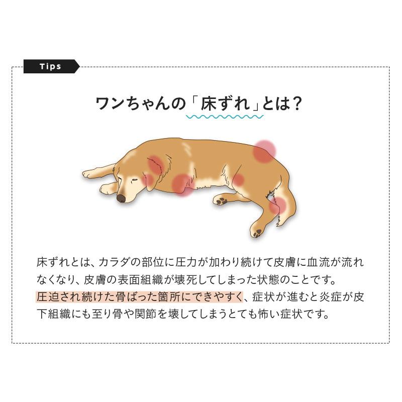 介護マット マットレス 犬用 猫用 ペット用 床ずれ 防止 寝たきり 怪我 病気 シニア ケア 体圧分散 通気性 丸洗い 小型犬 中型犬 大型犬 老犬 エムール ねどっこ | EMOOR | 08