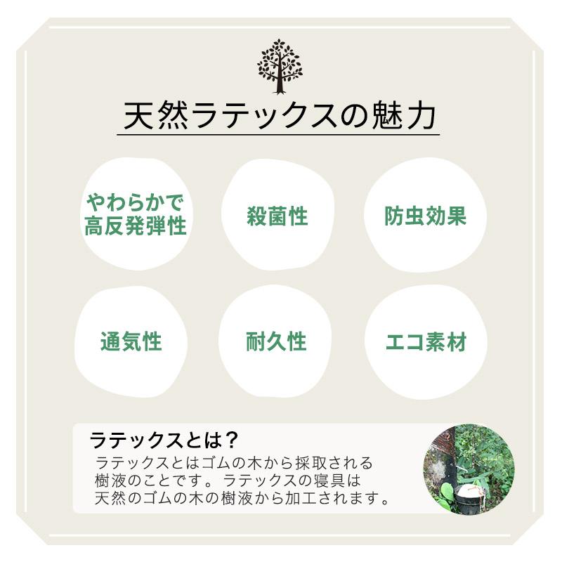 抱き枕 ボディピロー 円筒 100×20 ラテックス 天然素材 高反発 やわらか 殺菌 防虫 通気性 耐久性 枕 まくら ピロー 体圧分散 洗える ギフト 送料無料 エムール | EMOOR | 06