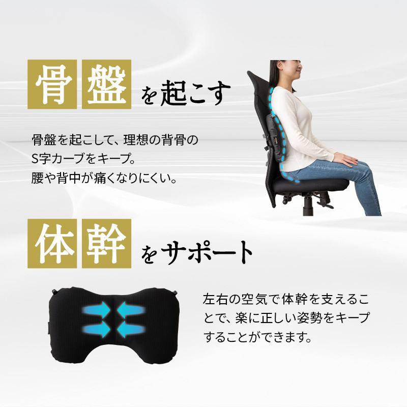 EMOOR（エムール） 腰クッション リクライニングチェア用 固定バンド付
