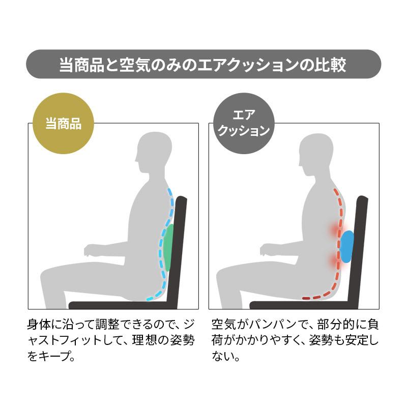 EMOOR（エムール） 腰クッション リクライニングチェア用 固定バンド付