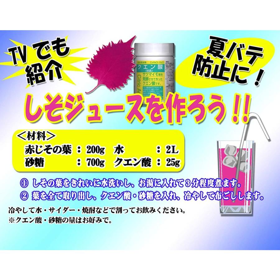 年間ランキング6年連続受賞 大洋製薬 食添クエン酸 500g Wantannas Go Id