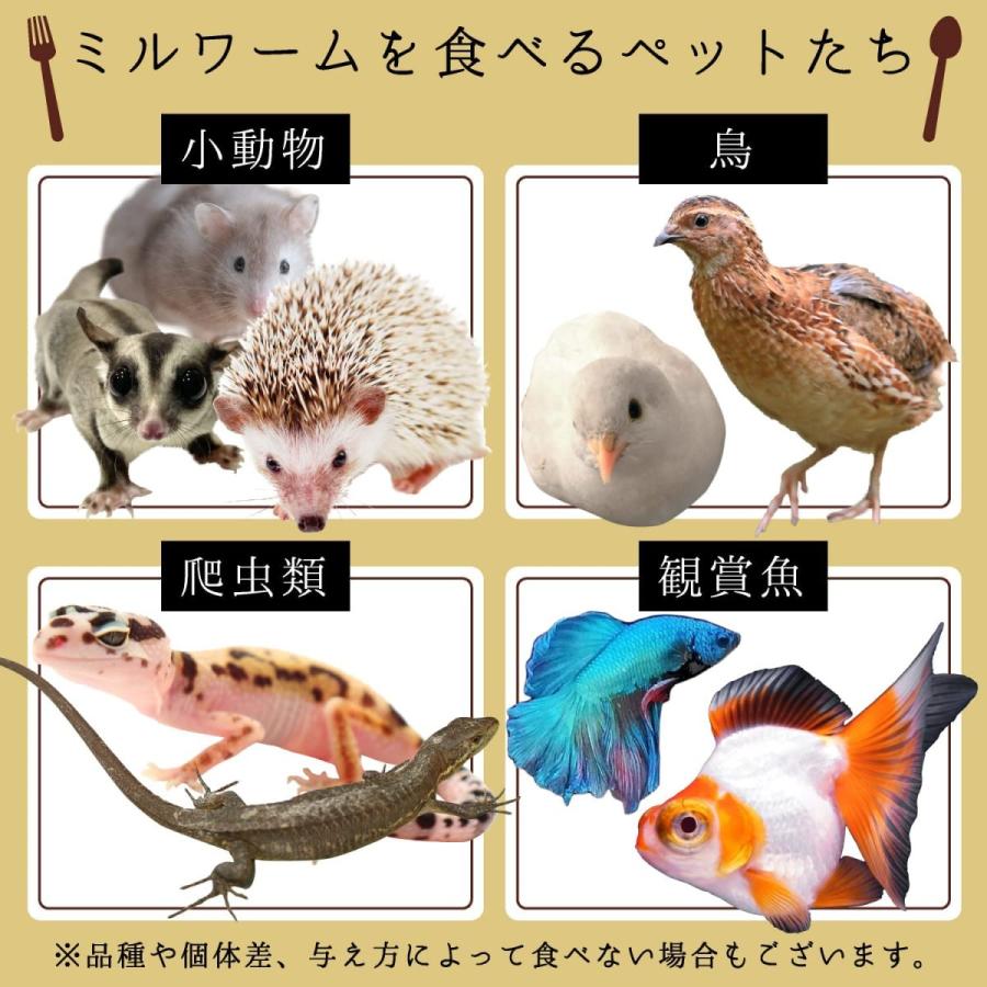 休日 ドライミルワーム 乾燥ミルワーム ミルワーム 500ｇ 小動物 おやつ フクロモモンガ ハムスター ハリネズミ Lacistitis Es