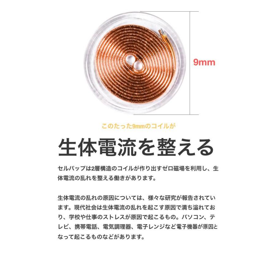 セルパップ ゼロ磁場 アーシングマット 100 アーシングマット ー