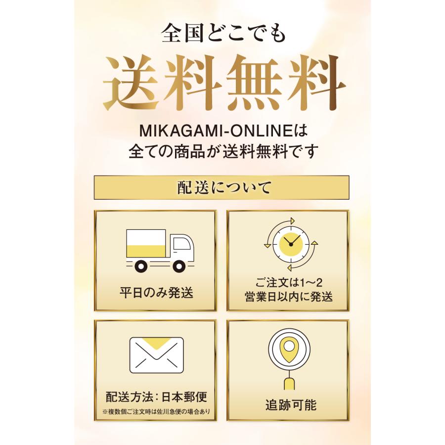 ネイルプライマー ジェルネイルプライマー プライマーネイル ジェルプライマー プレプライマー プレプライマーネイル ネイル油分除去 | MIKAGAMI | 09