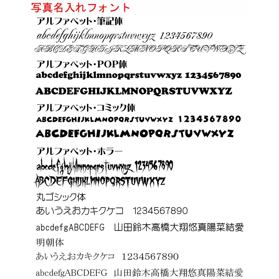 バッグハンガー 写真 オリジナル オーダーメイド 名入れ ペット 子供 犬 猫 ホワイトデー 記念日 誕生日 Pb001 ごほうび屋 通販 Yahoo ショッピング