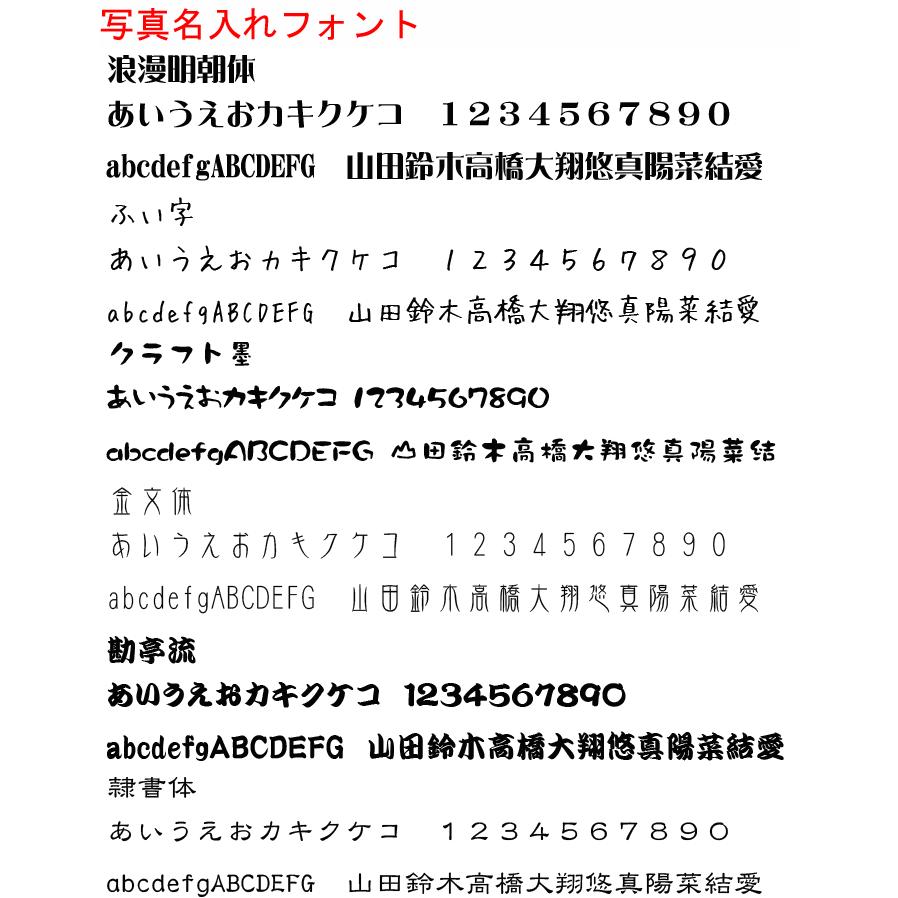 バッグハンガー 写真 オリジナル オーダーメイド 名入れ ペット 子供 犬 猫 ホワイトデー 記念日 誕生日 Pb001 ごほうび屋 通販 Yahoo ショッピング