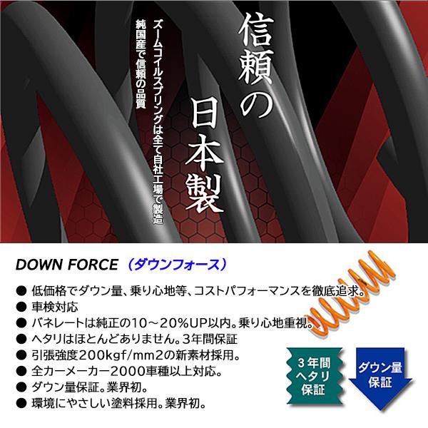 ボルボ 850 2.4L 8B5252 B5252 新品 ZOOM/ズーム ダウンフォース ダウンサス 1台分_1