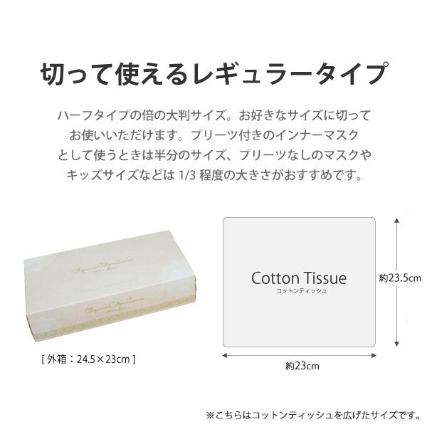 日本全国送料無料 即納 日本製 使い捨てマスク取り換えシート インナー