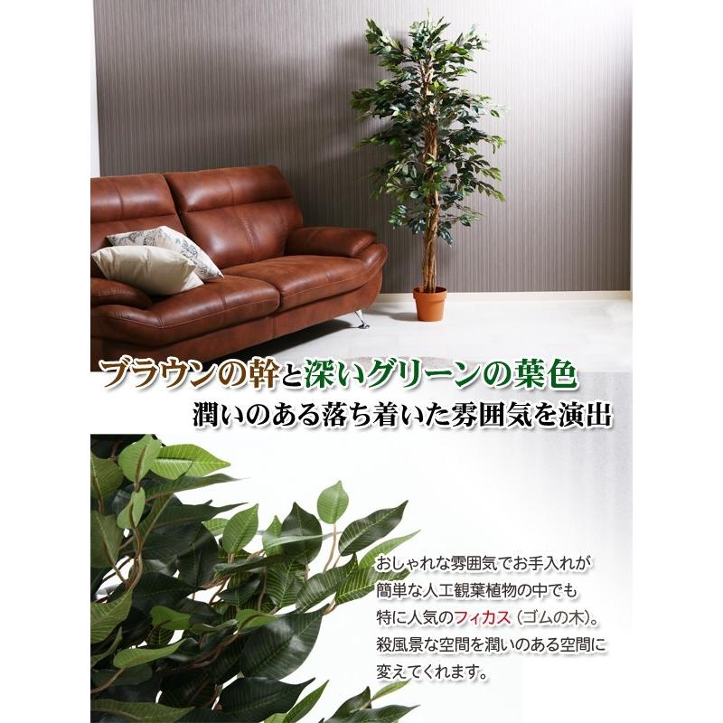 観葉植物 インテリア 人工観葉植物 造花 人工 フェイク 緑 グリーン 水のいらないヒーリング 観葉植物 フィカス A 170cm Fj C ポケてりあ 通販 Yahoo ショッピング