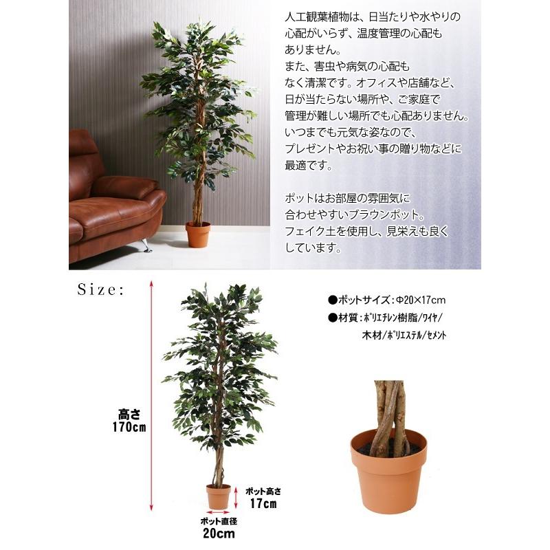 観葉植物 インテリア 人工観葉植物 造花 人工 フェイク 緑 グリーン 水のいらないヒーリング 観葉植物 フィカス A 170cm Fj C ポケてりあ 通販 Yahoo ショッピング