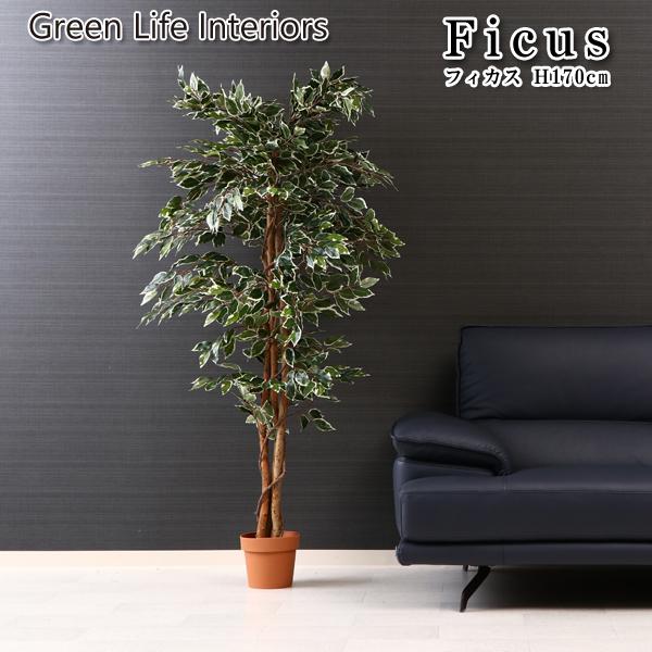 観葉植物 インテリア 人工観葉植物 造花 人工 フェイク フェイクグリーン 鉢植え おしゃれ カフェ 店舗 ディスプレイ 観葉植物 フィカス [ B 170cm ]