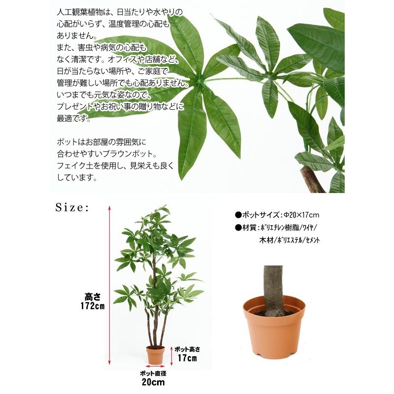 観葉植物 インテリア 人工観葉植物 造花 フェイク 水のいらないヒーリング カフェ 店舗 フェイクグリーン 鉢植え スリム 観葉植物 パキラ スタンダード 172cm Fj C ポケてりあ 通販 Yahoo ショッピング