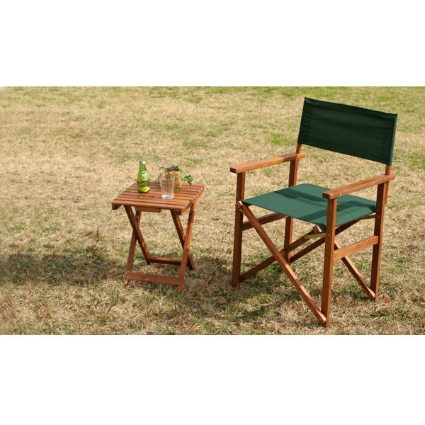 折りたたみデッキチェア ガーデンチェア チェア ガーデン 庭