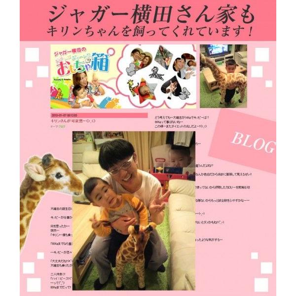 子キリン 63cmタイプ ぬいぐるみ 動物 アニマル きりん キリン きりん 麒麟 かわいい 置物 誕生日プレゼント クリスマス 男の子 女の子 Fj C 5 ポケてりあ 通販 Yahoo ショッピング