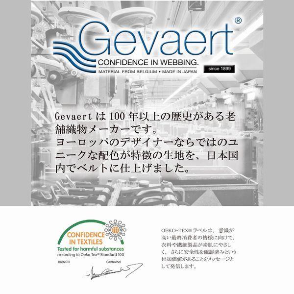 メンズ ベルト Wリング カラーボーダー ベルト GEVAERT ベルギーの老舗ゲバルト社 日本製｜at-shop｜08