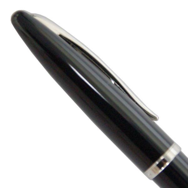 WATERMAN（ウォーターマン） 万年筆 カレン フロスティーブラウンST