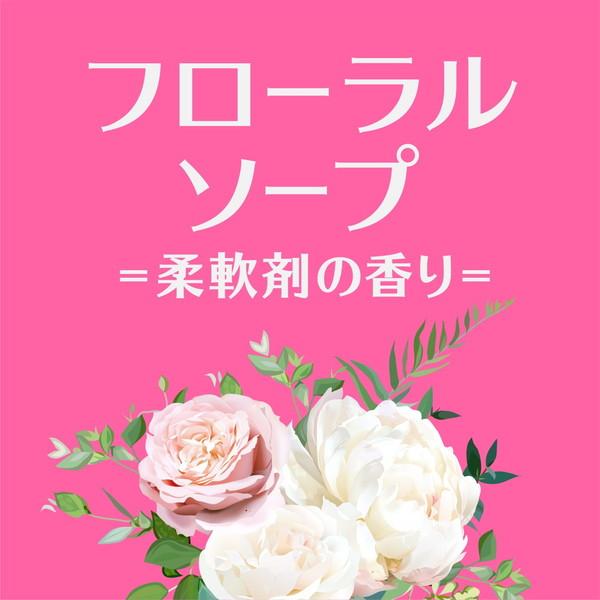 ピレパラアース 柔軟剤の香り 引き出し用 1年 | ピレパラアース | 12