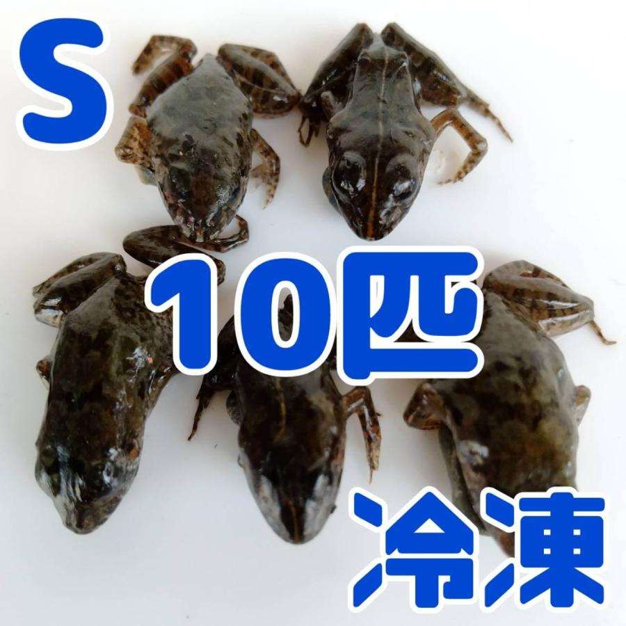 国産 冷凍カエル Sサイズ 10匹 胴長2~2.5cm 餌用 ヌマガエル