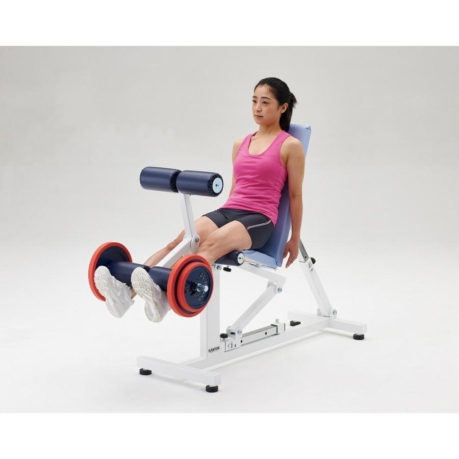 値下げ!! gfcレッグエクステンション