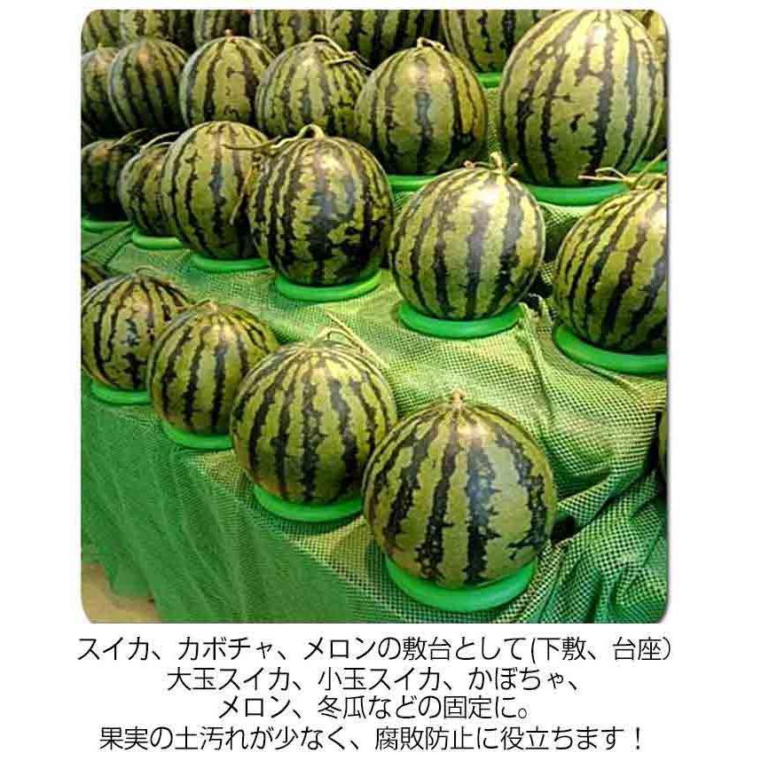 20個セット 西瓜固定リング 輪っか スイカ用台座 マット 15cm スイカ台