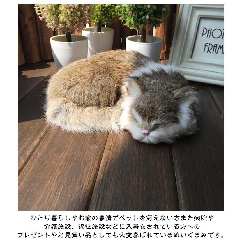 可愛い 家族 ねこ 猫 ペット ぬいぐるみ ネコちゃん 猫ぬいぐるみ