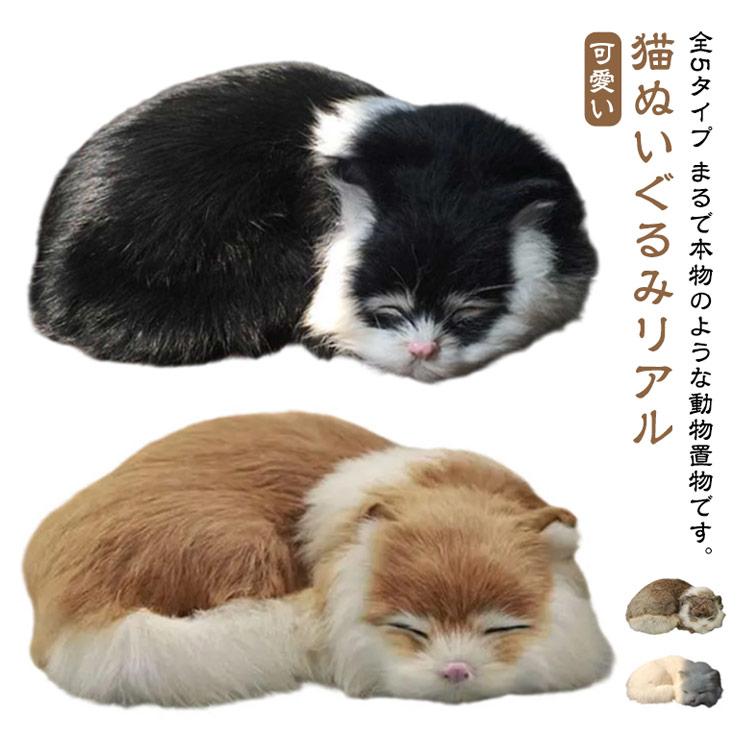 ねこちゃん 猫本物 え 三毛猫 夢を見てるの リアルすぎるネコちゃんに