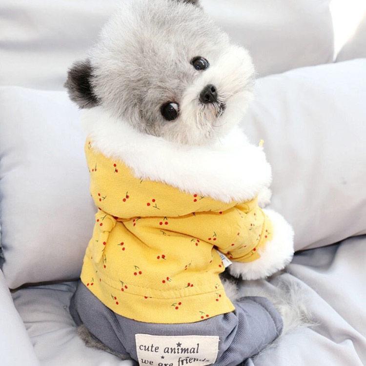 送料無料】犬服 ドッグウェア 裏起毛 ジャケット チェリー柄