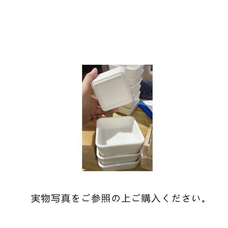 お皿 小皿 漬物皿 フルーツ皿 和食器 プレート 取り皿 トレー 小付